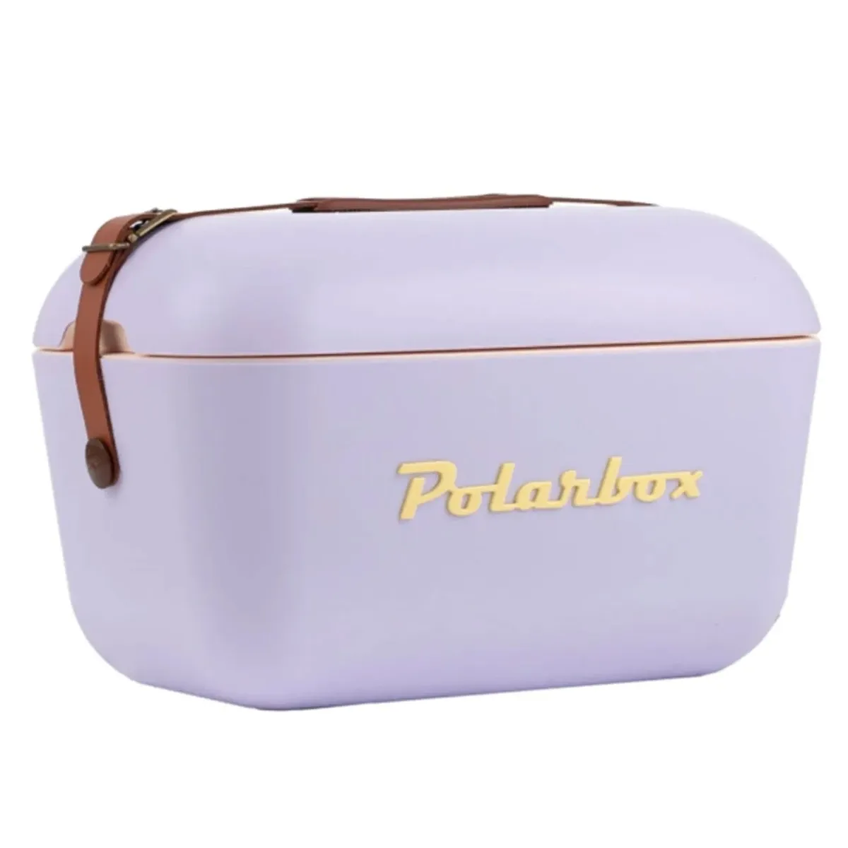 Glacière Lunchbox POLARBOX 6L Mauve | Sac Isotherme Avec 2 Contenants